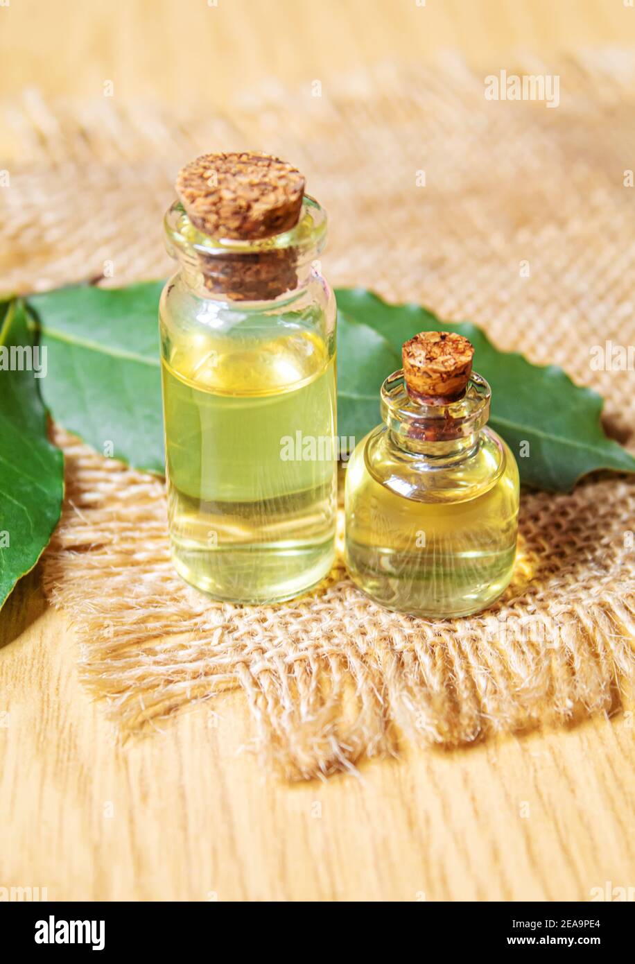 bay leaf oil in a small bottle.selecve focus nature Stock Photo
