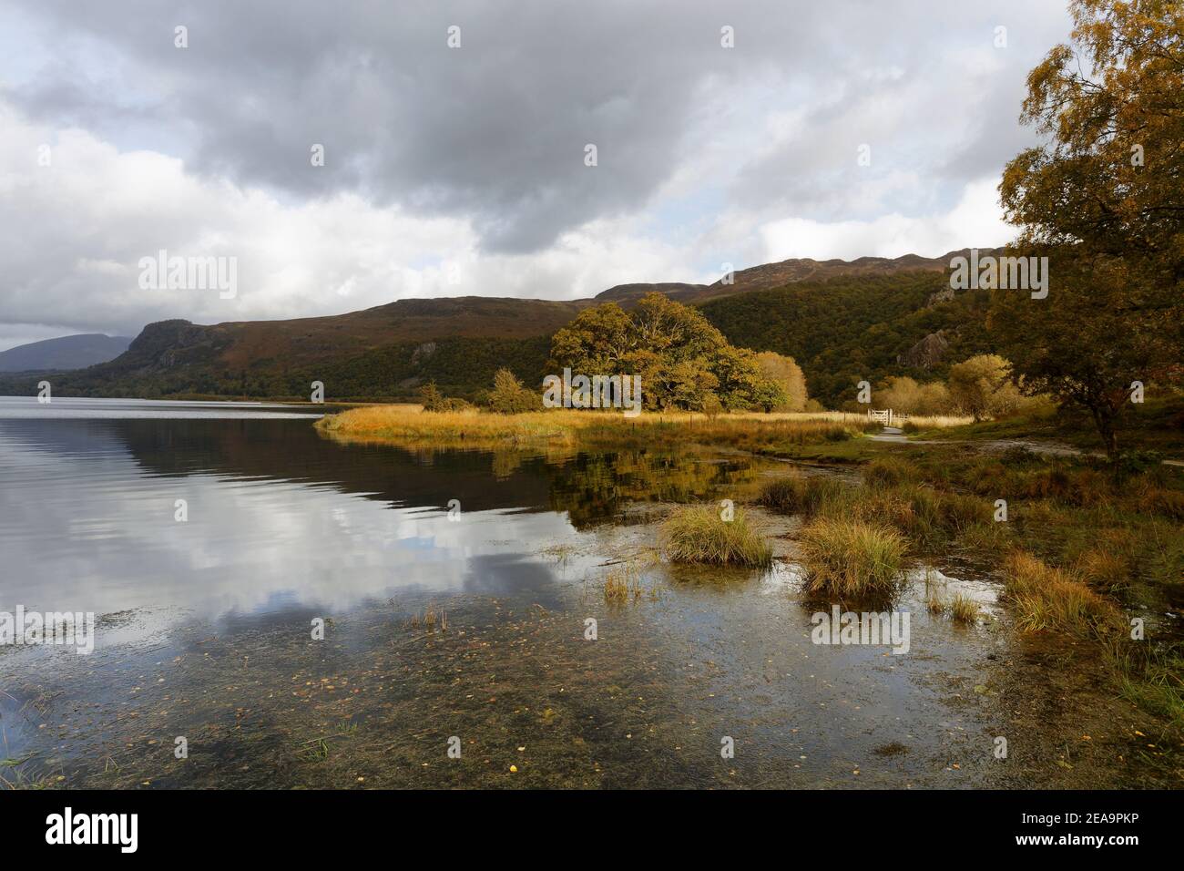 Autumn colours reflect in Derwent Water with Bleaberry Fell in the distance Lake District Cumbria Stock Photo