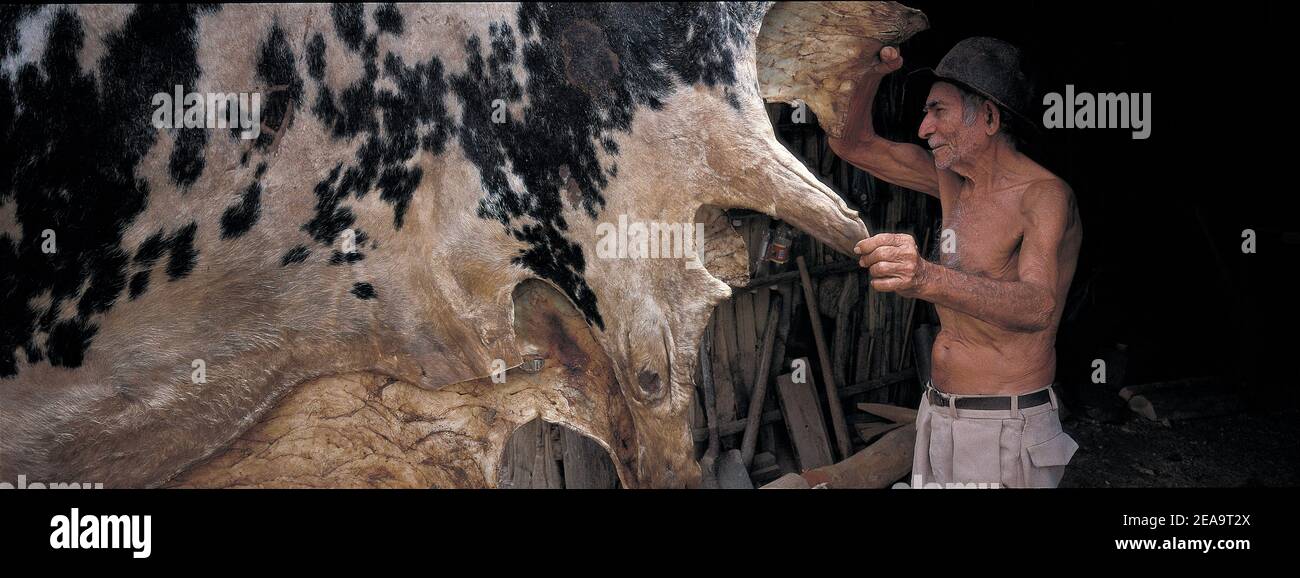 Tanning hide hi-res stock photography and images - Alamy