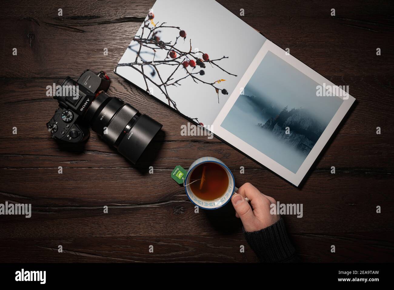 Scene, photo book on table with camera and teacup Stock Photo