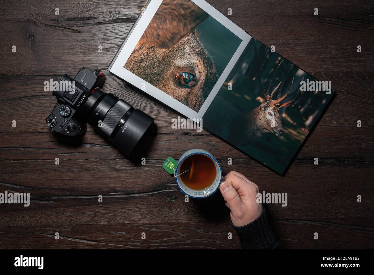 Scene, photo book on table with camera and teacup Stock Photo