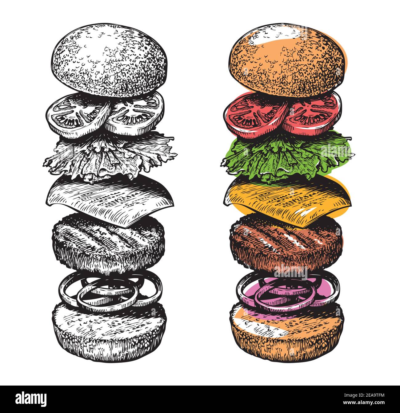 Burger ingredients sketch. Hand drawn food vector illustration Stock Vector