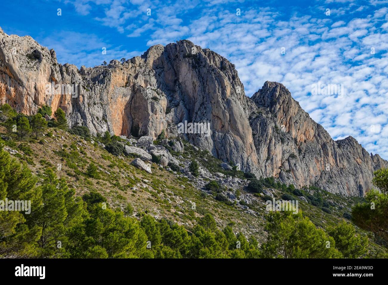 Springtime in the mountainous Bernia Ridge above Benidorm, on the Costa ...