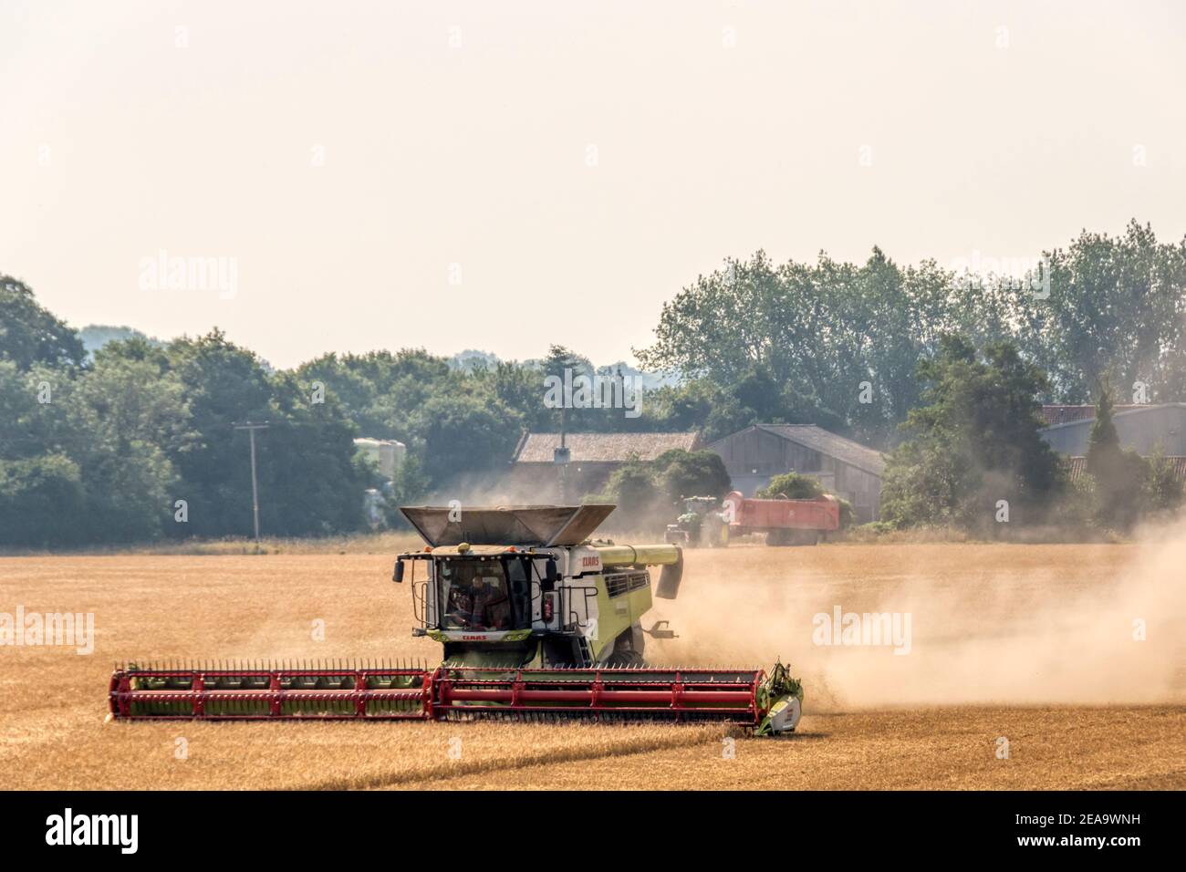 A combine harvester enveloped in a cloud of dust while harvesting a field in Norfolk, UK. Stock Photo