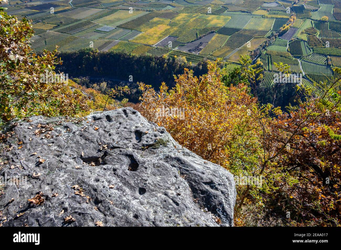 Italy, Trentino-South Tyrol, Alto Adige, South Tyrol, Vinschgau, Kastelbell, hiking trail from Latsch to Trumsberg, Untere Gruebelplatte, Schalenstein Stock Photo