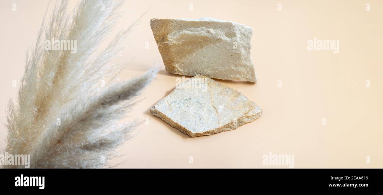 natural-stones-on-the-neutral-beige-background-fluffy-pampas-grass