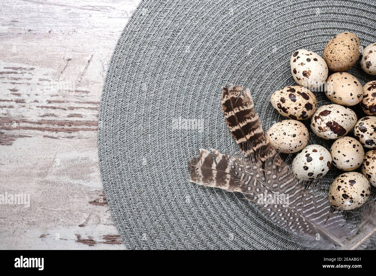 Quail eggs and feathers on grey round placemat. Copy space, top view, flat lay Stock Photo