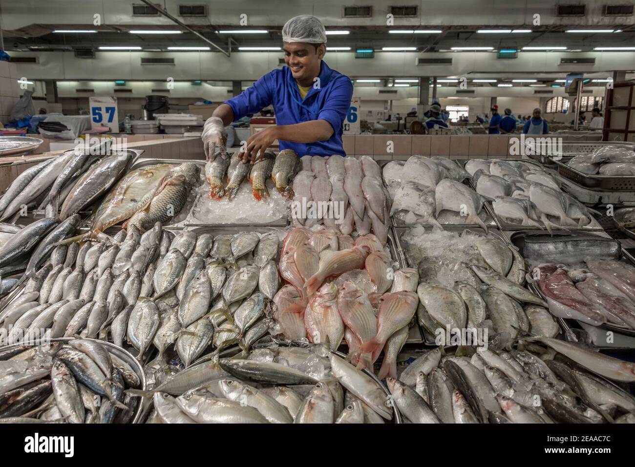Fishmonger arranging his fish, Mina seafood market, Abu Dhabi, UAE Stock Photo Alamy