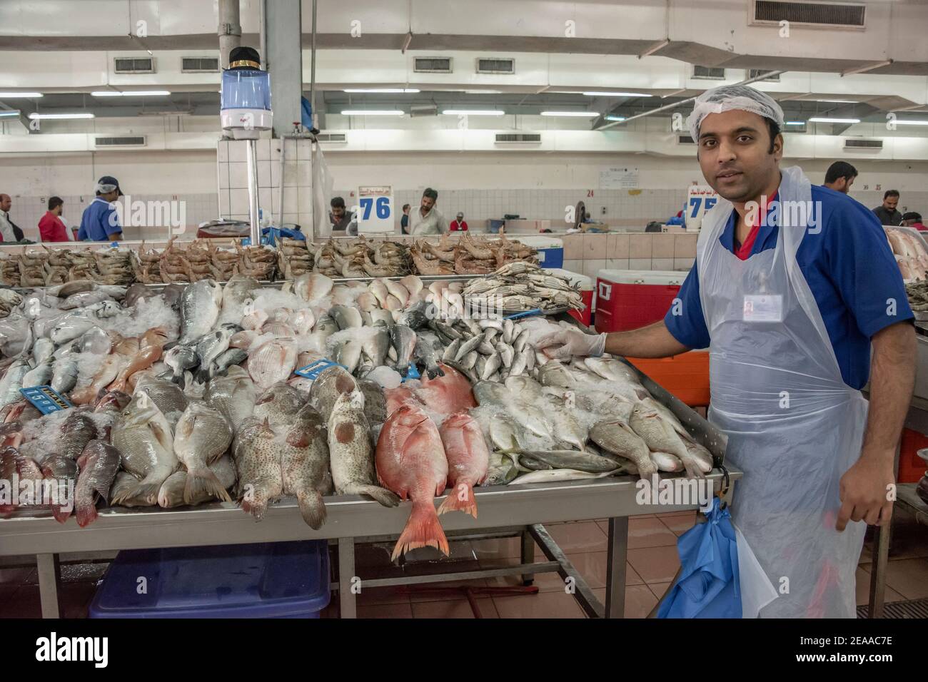 Fresh fish from the Persian Gulf, Mina seafood market, Abu Dhabi, UAE