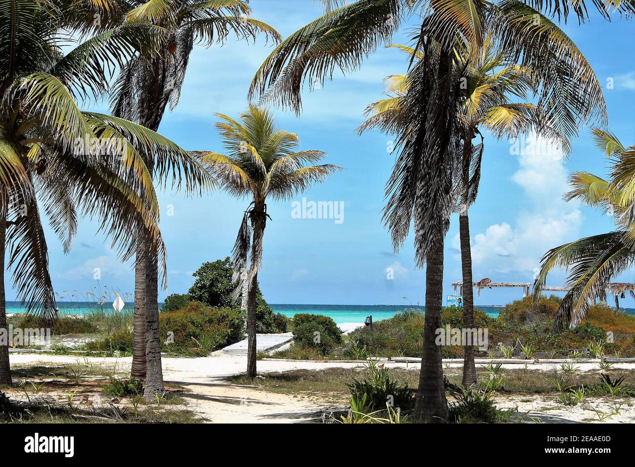 Cayo Guillermo, Cuba Stock Photo