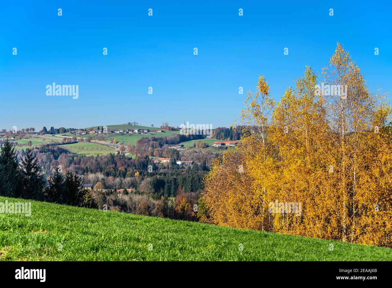 Germany, Bavaria, Upper Bavaria, Oberland, Irschenberg, town view, view  from Eckersberg Stock Photo - Alamy