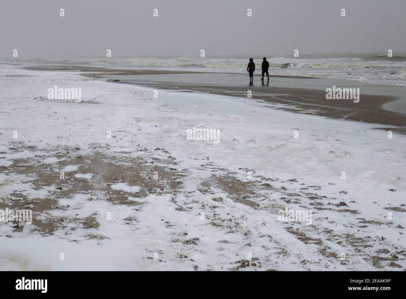 people walking at a snowy beach in Den Haag, Holland Stock Photo