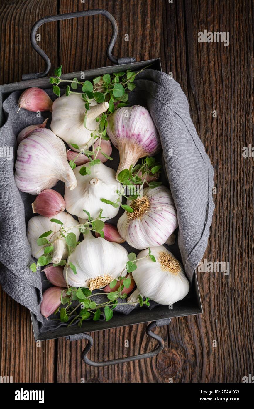 Natural antibiotic, fresh garlic bulbs with cloves on rustic wooden