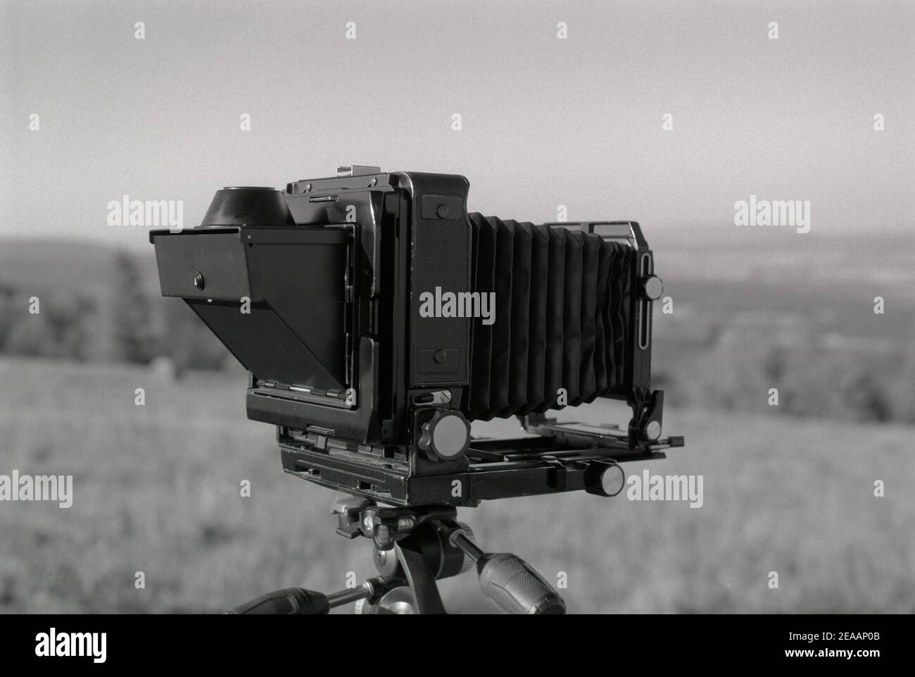 Large Format Camera High Resolution Stock Photography and Images Alamy