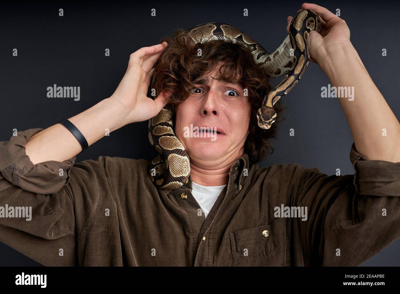 Adult afraid reptile hires stock photography and images Alamy