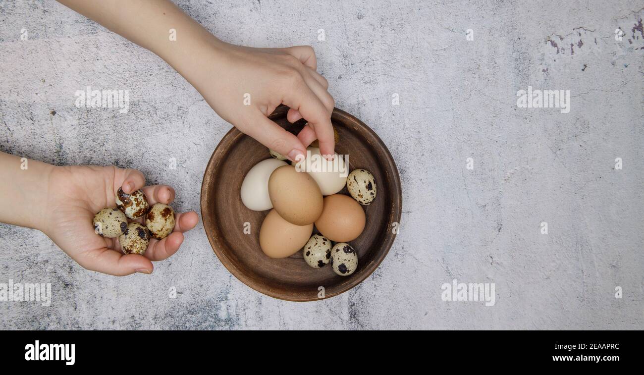 the girl hands folding chicken and quail eggs in a clay plate Stock Photo