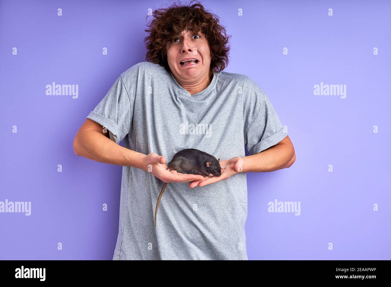 guy afraid of rat crawling on hands, arms. male is scared by rodent