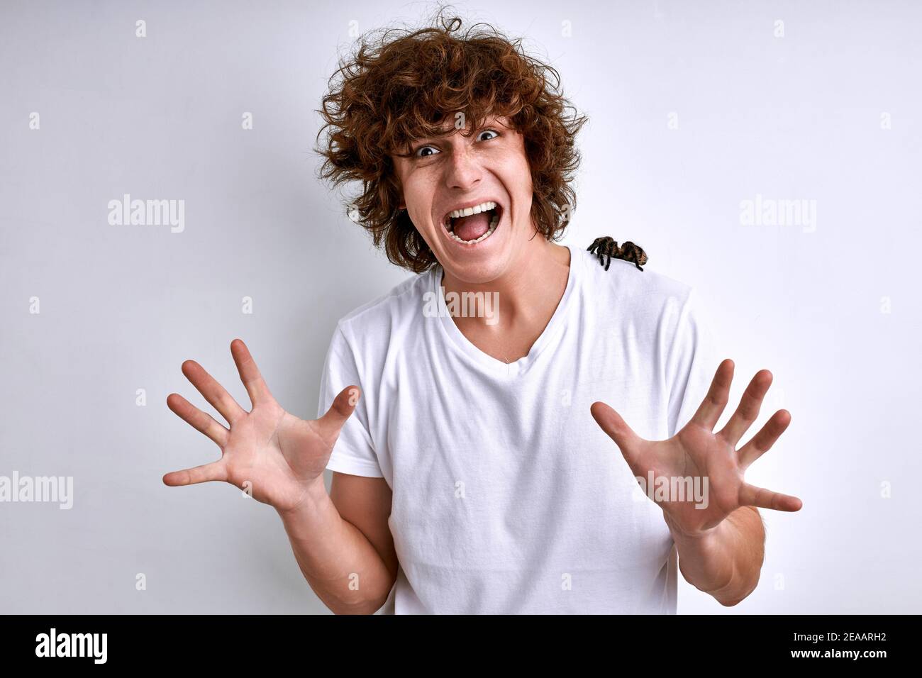 man with spider on shoulders isolated on white background. frightened young man has phobia Stock Photo