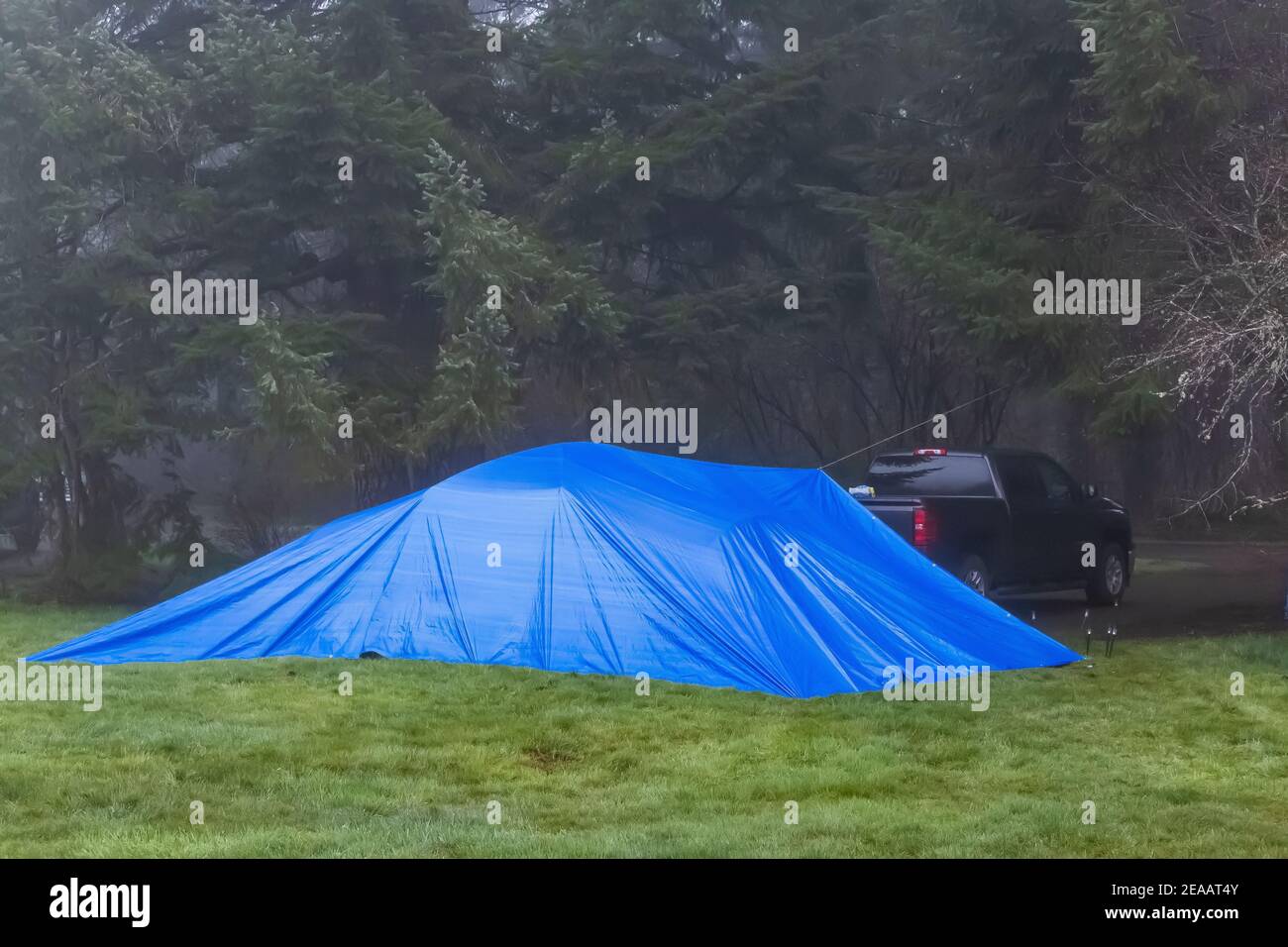 Blue tarp over camping tent, a common practice in the rainy Pacific Northwest, Silver Falls State Park, Oregon, USA [No property release; available on Stock Photo