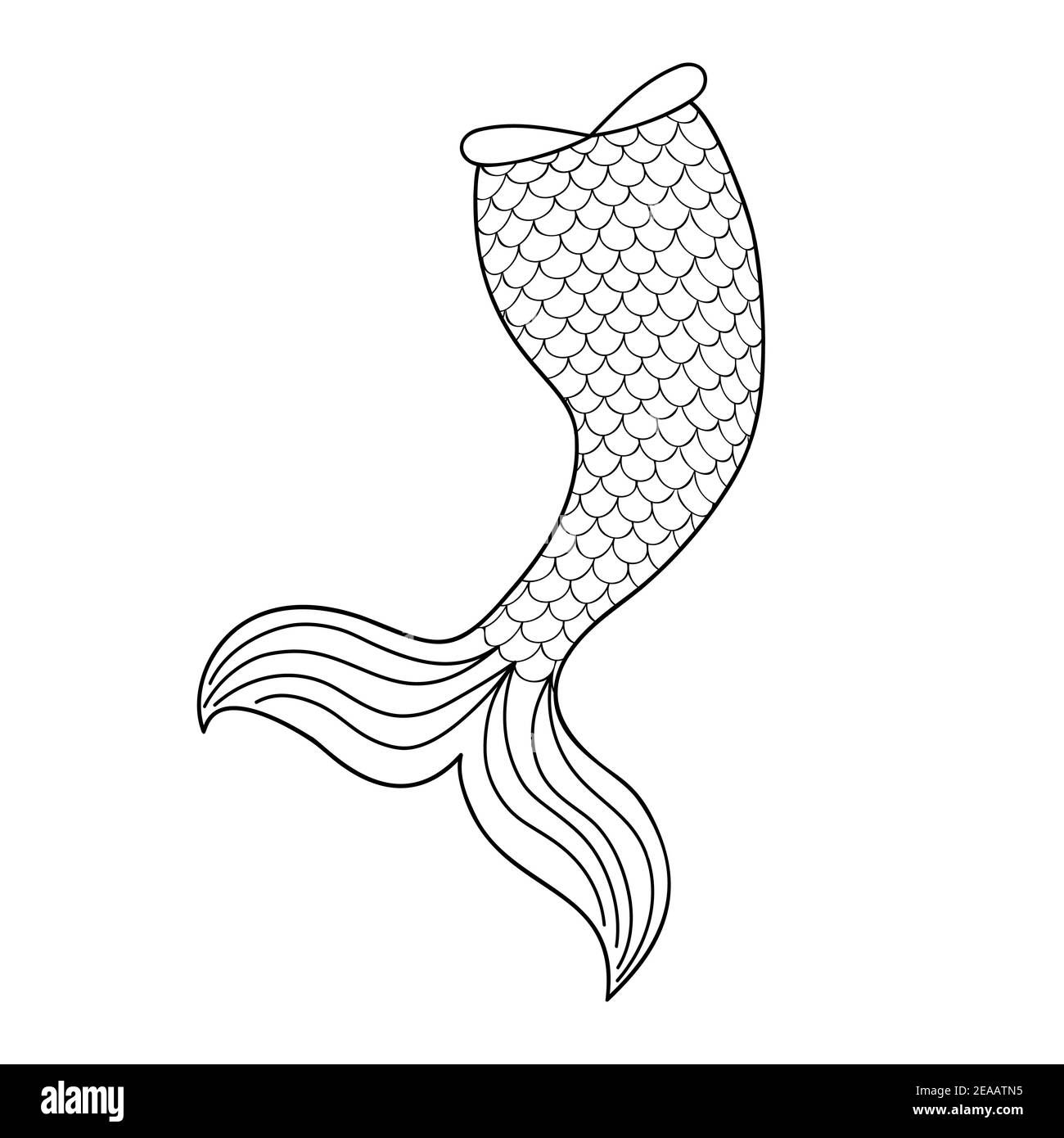 Hand drawn mermaid tail isolated on white background. Element of mermaid costume, decoration for greeting card or tshirt design. Black and white vector illustration in doodle style. Stock Vector
