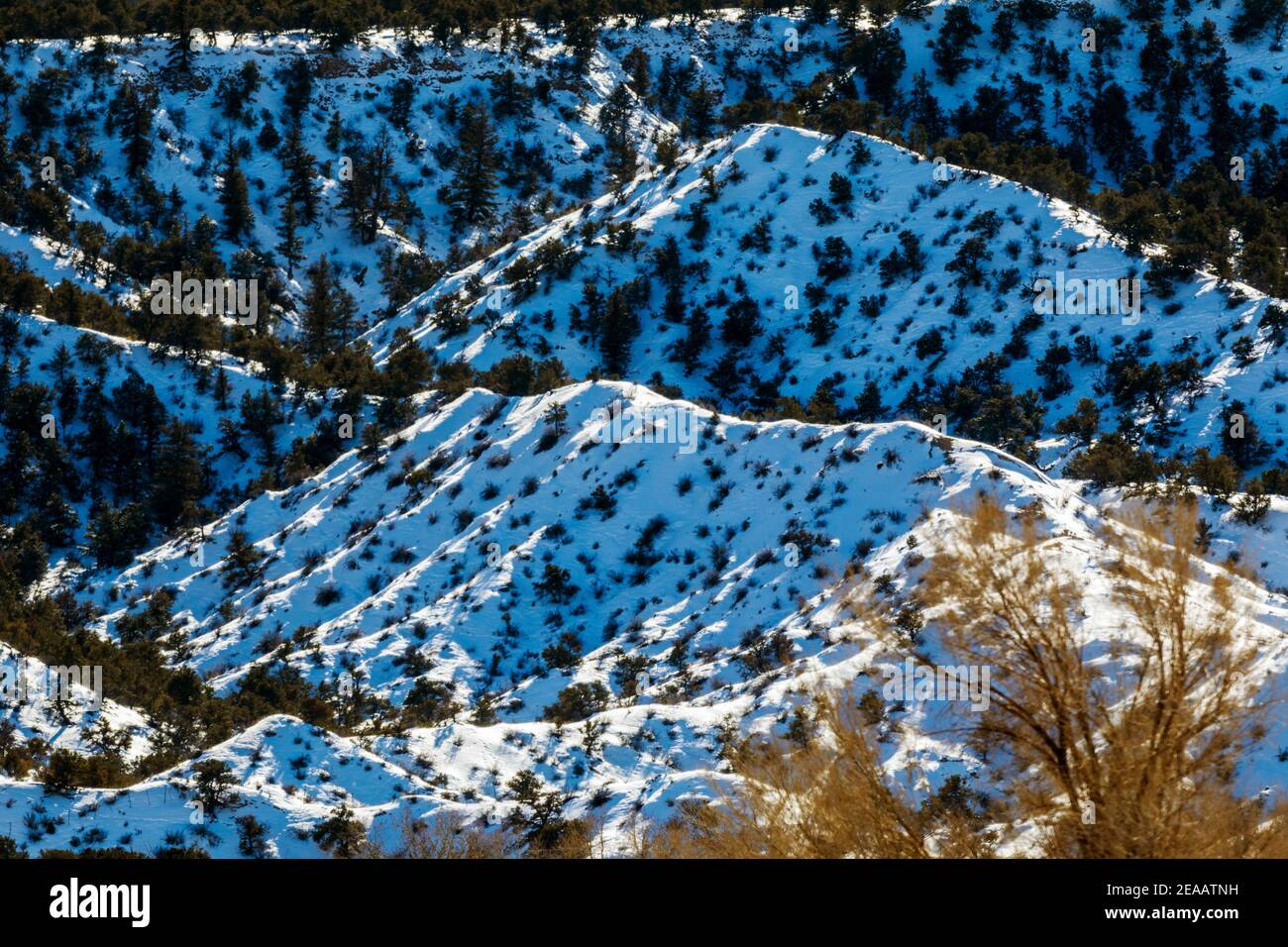 Snow covered foothills below Methodist Mountain (11,707' elevation) near Salida, Colorado, USA Stock Photo