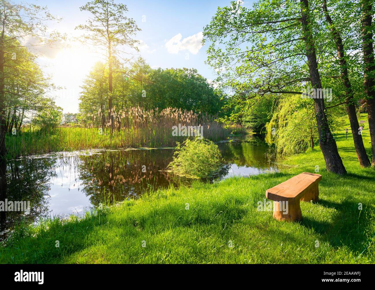 Wooden bench near river in the summer park Stock Photo