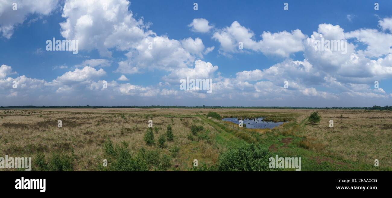 Panorama of a moor with small lake in flat landscape and cloudy sky above, Germany, Recker Moor Stock Photo