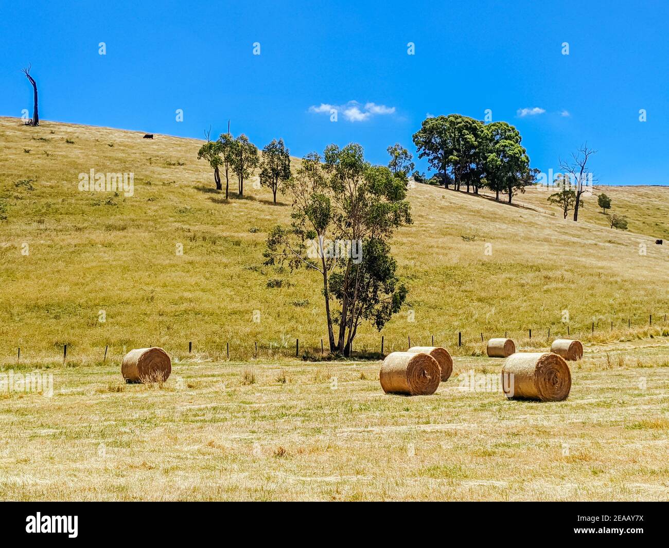 Victorian Rural Country in Australia Stock Photo - Alamy