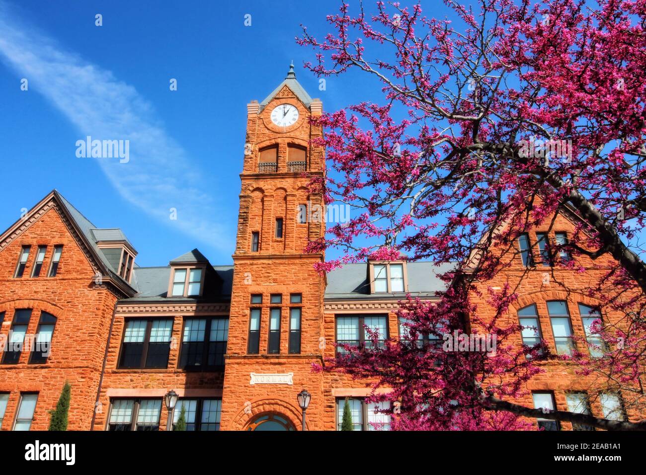 Historic Old North Tower in Edmond Oklahoma stands against a blue sky with a spring blooming Redbud tree in front. Stock Photo