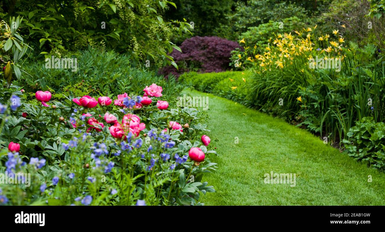 Deep pink colour hi-res stock photography and images - Alamy