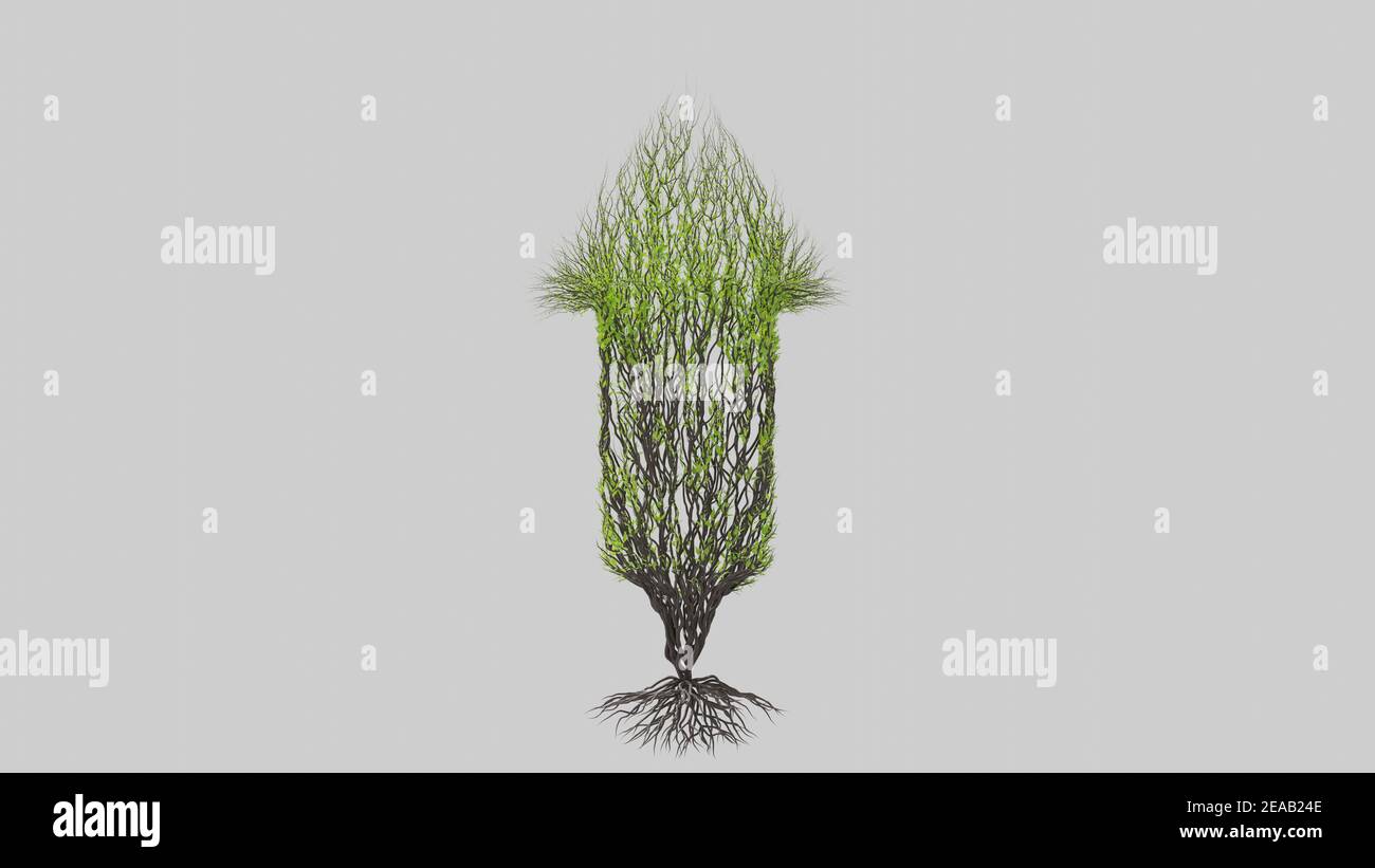 Embed Arrow Tree Tree in a shape of an arrow. Seasonal transition on white background ...