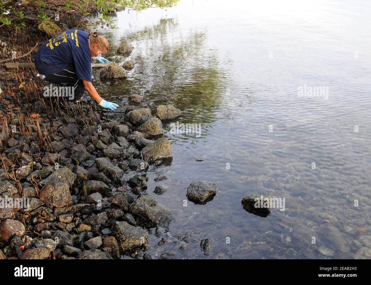 Nature Trail Clean Up Stock Photo - Alamy