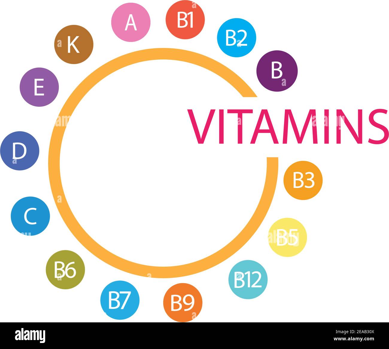 Burger Ongrijpbaar Landelijk Multi Vitamin complex icons. Multivitamin supplement, Vitamin A, B group  B1, B2, B3, B5, B6,B7, B9, B12, C, D, E, K Science vector  illustration,vecto Stock Vector Image & Art - Alamy