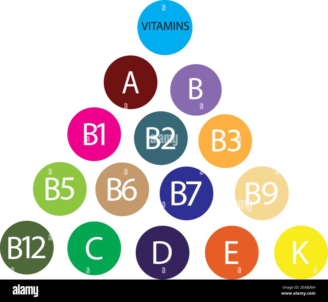 Multi Vitamin complex icons. Multivitamin supplement, Vitamin A, B group  B1, B2, B3, B5, B6,B7, B9, B12, C, D, E, K Science vector  illustration,vecto Stock Vector Image & Art - Alamy