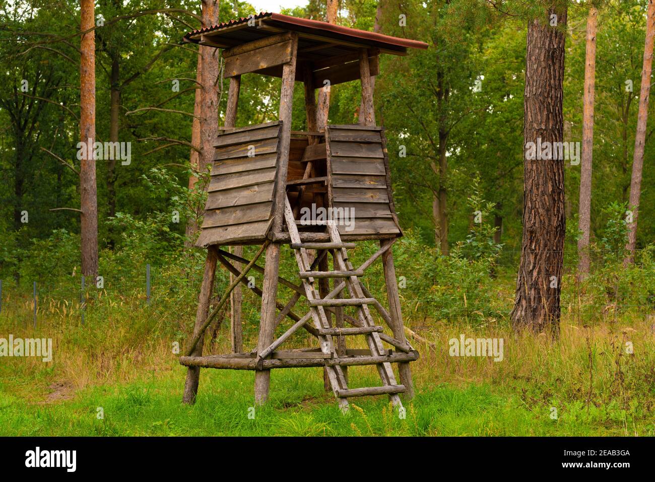 Hunter in forest hi-res stock photography and images - Alamy