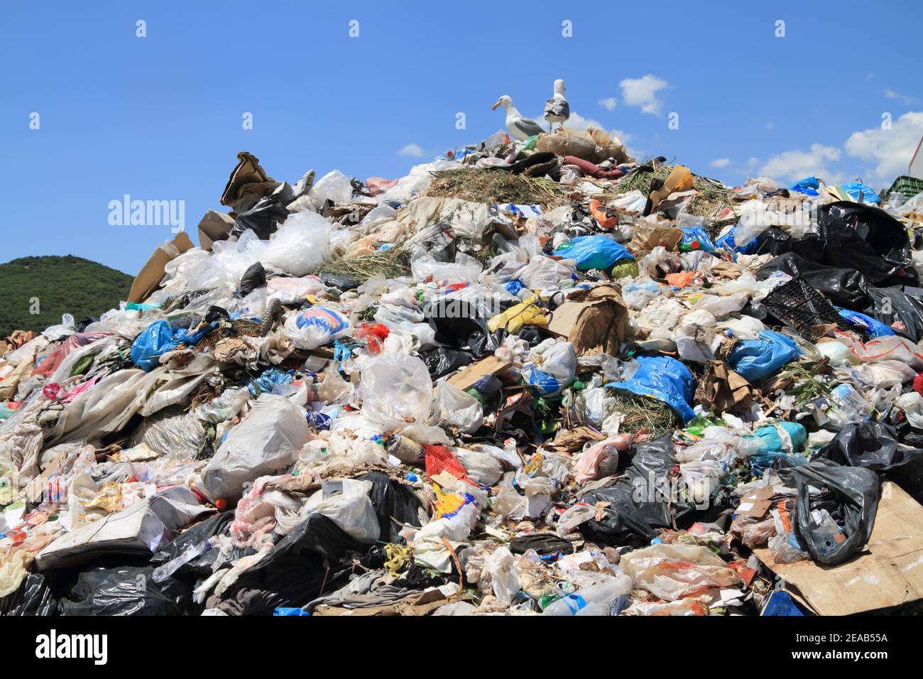 Harbage Pile of domestic garbage in landfill Stock Photo - Alamy