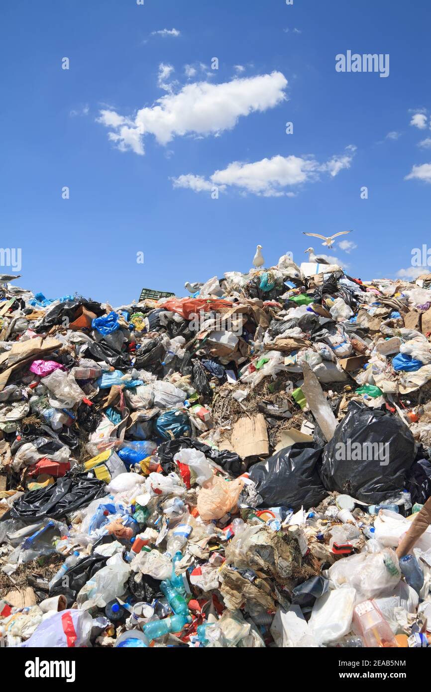 Harbage Pile of domestic garbage in landfill Stock Photo - Alamy
