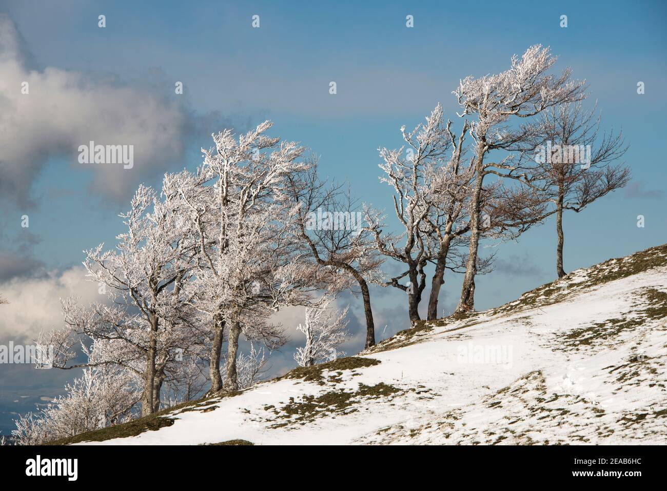 Jura mountains switzerland winter hires stock photography and images