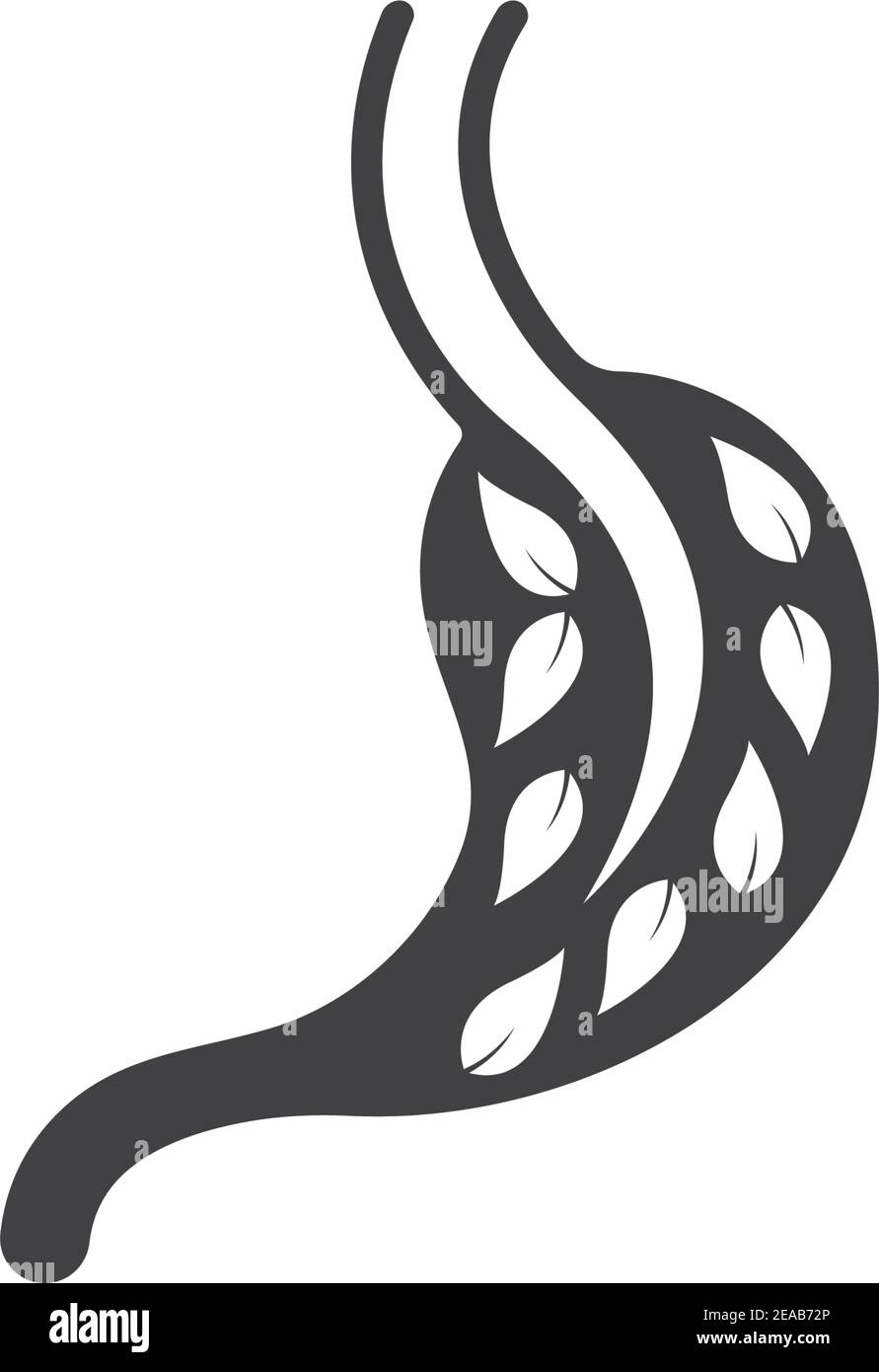 stomach vector illustration design template Stock Vector Image & Art ...