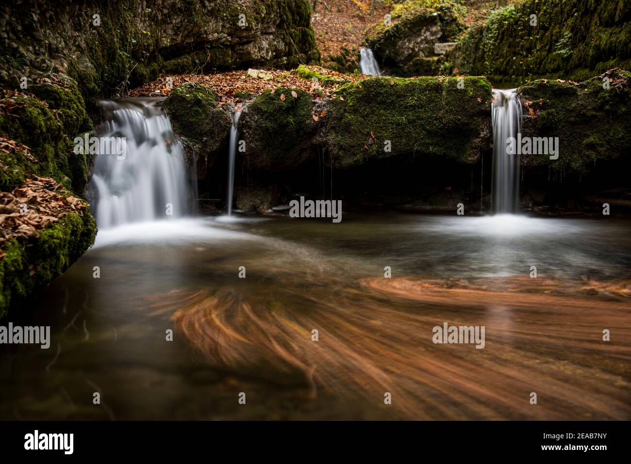 Stream with leaves in the water, long-term exposure Stock Photo