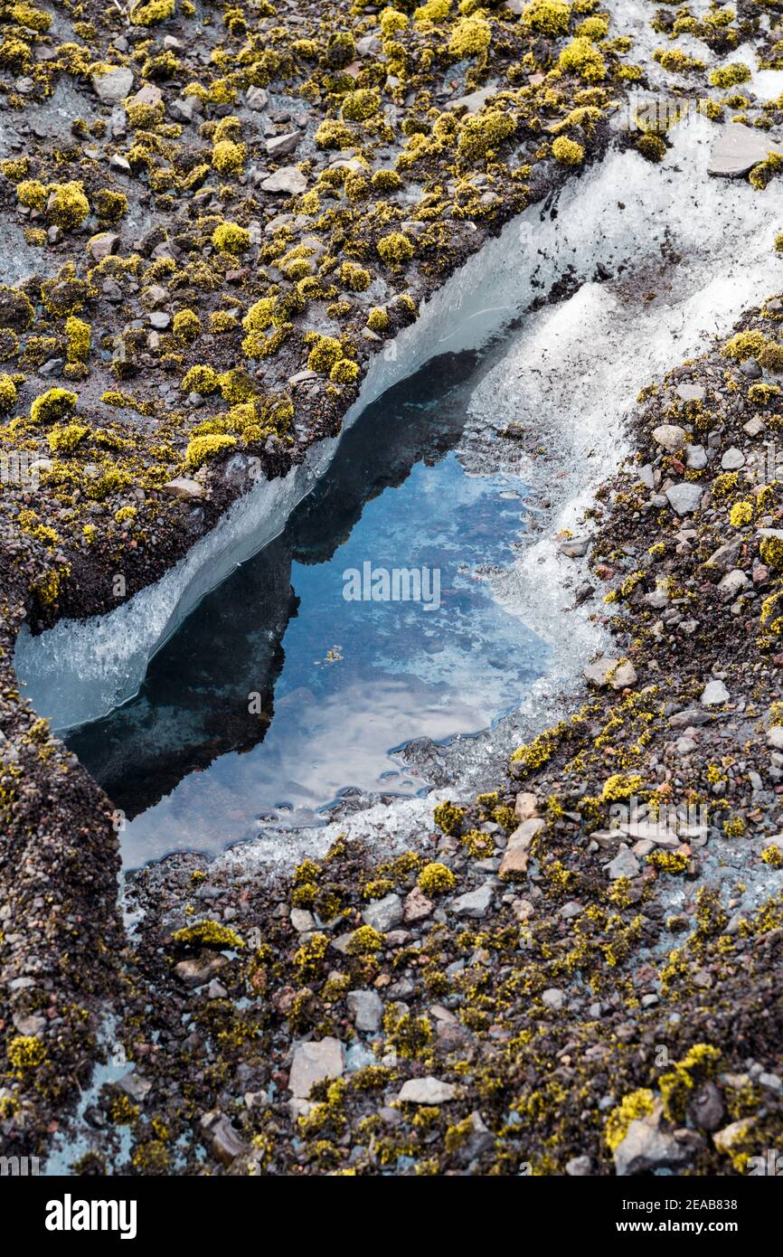 Iceland, Vatnajökull, Glacier, Moss, Ice, Snow, Green, Blue Stock Photo