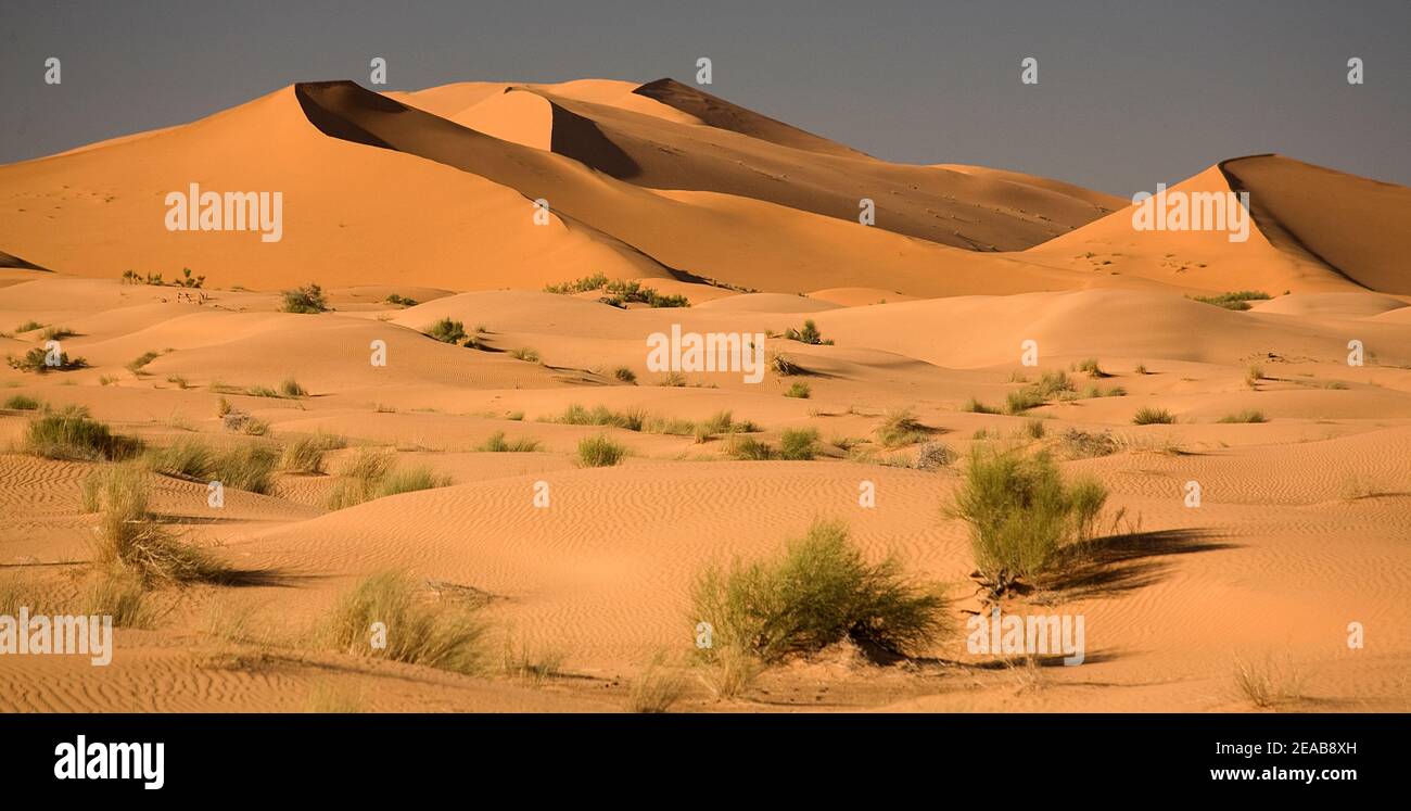 Merzouga Sand Dunes in Morocco Stock Photo