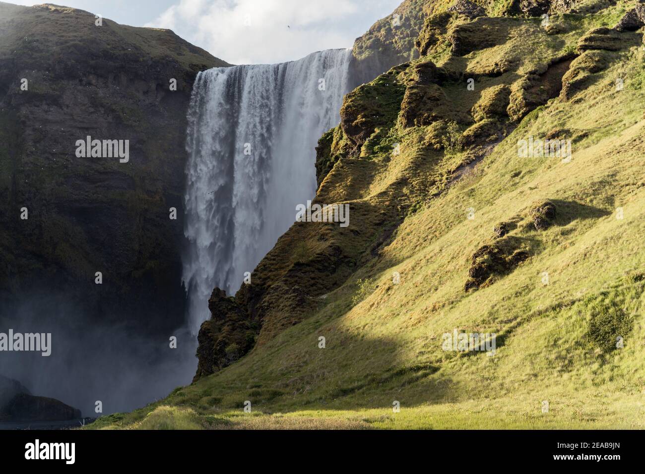 Iceland, Suðurland, Skógafoss, Sunset, Waterfall, Water, Moss, Green Stock Photo