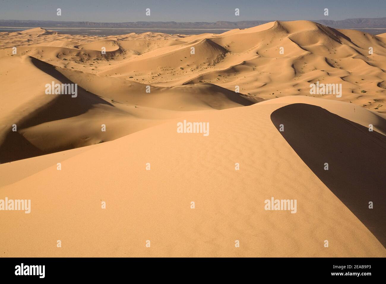 Merzouga Sand Dunes in Morocco Stock Photo Alamy