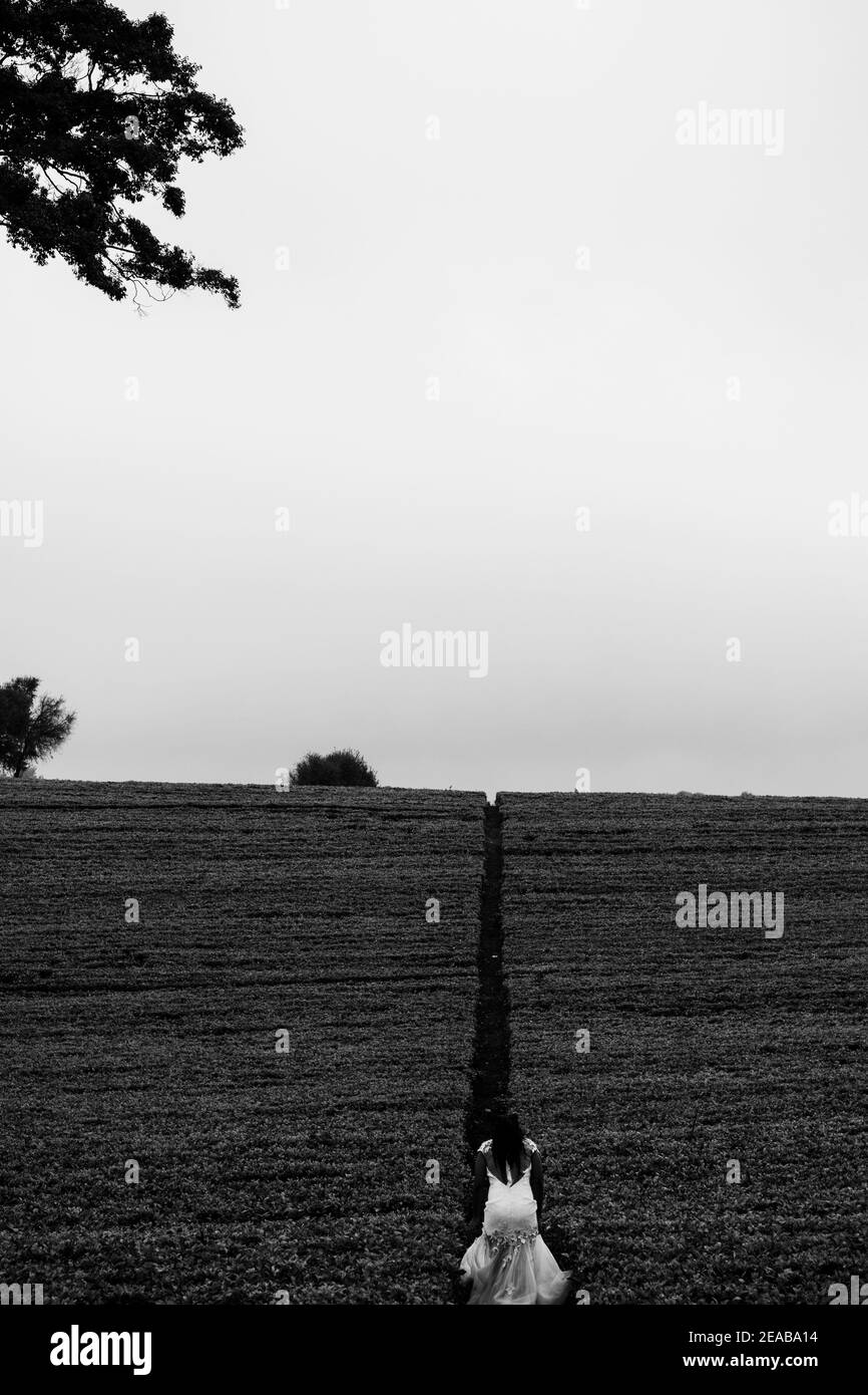 Travel hill plant desert Black and White Stock Photos & Images - Alamy