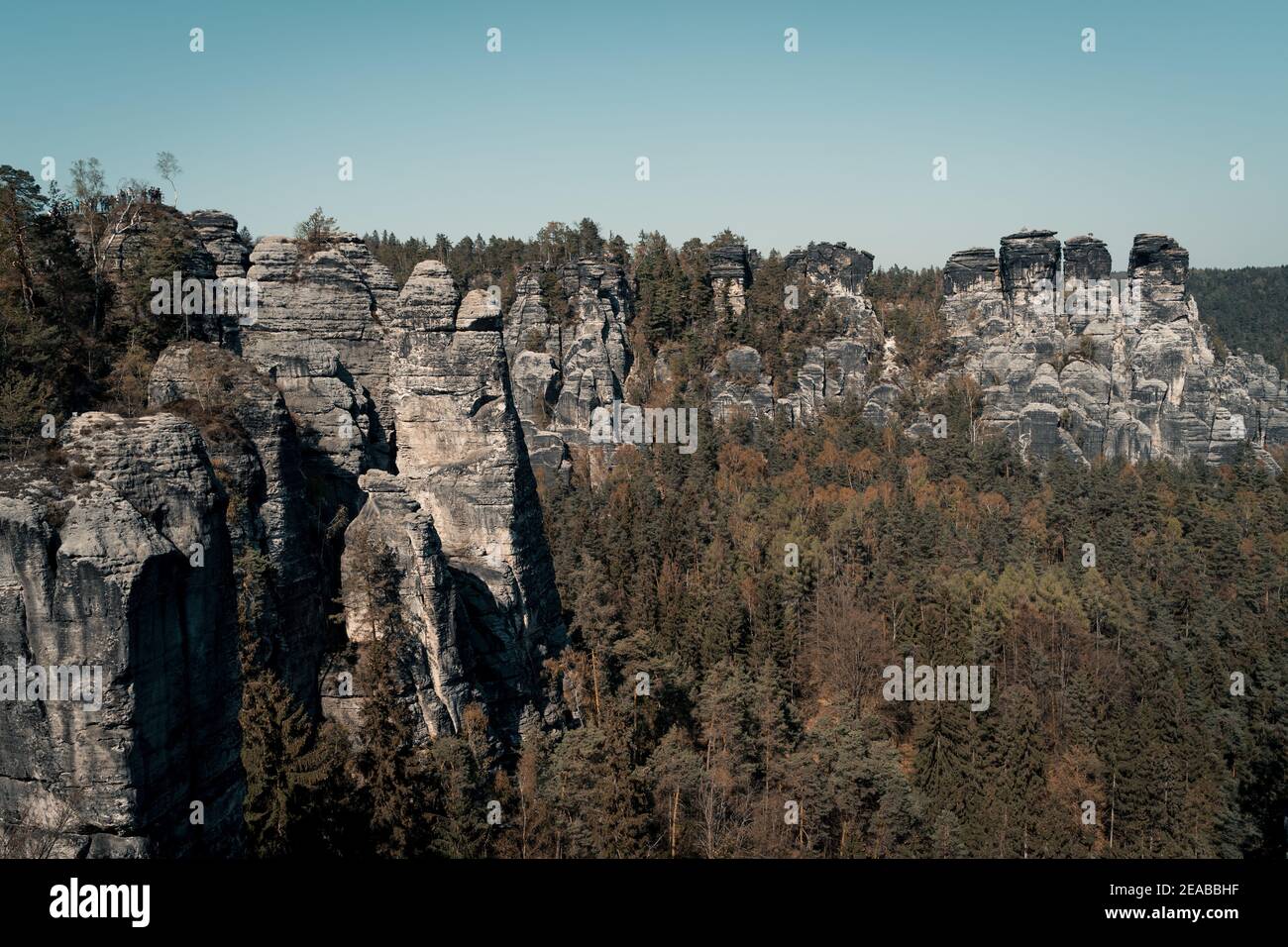 Deutschland, Sachsen, Sächsische Schweiz, Bäume, Sommer, Sonne, Wanderung, Felsen Stock Photo