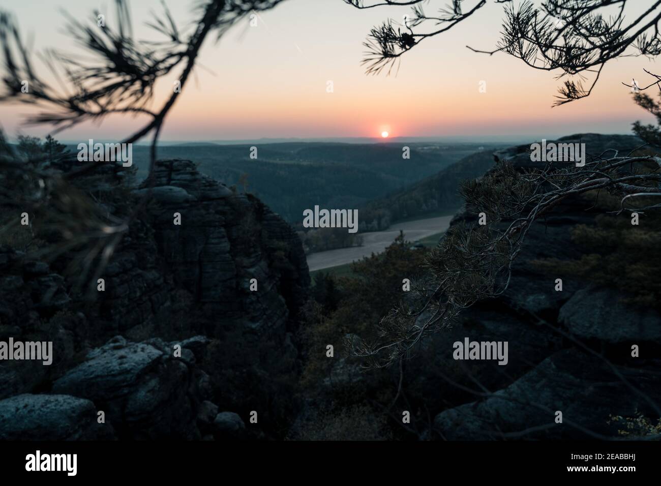 Deutschland, Sachsen, Sächsische Schweiz, Bäume, Sommer, Sonne, Wanderung, Sonnenuntergang, Felsen Stock Photo