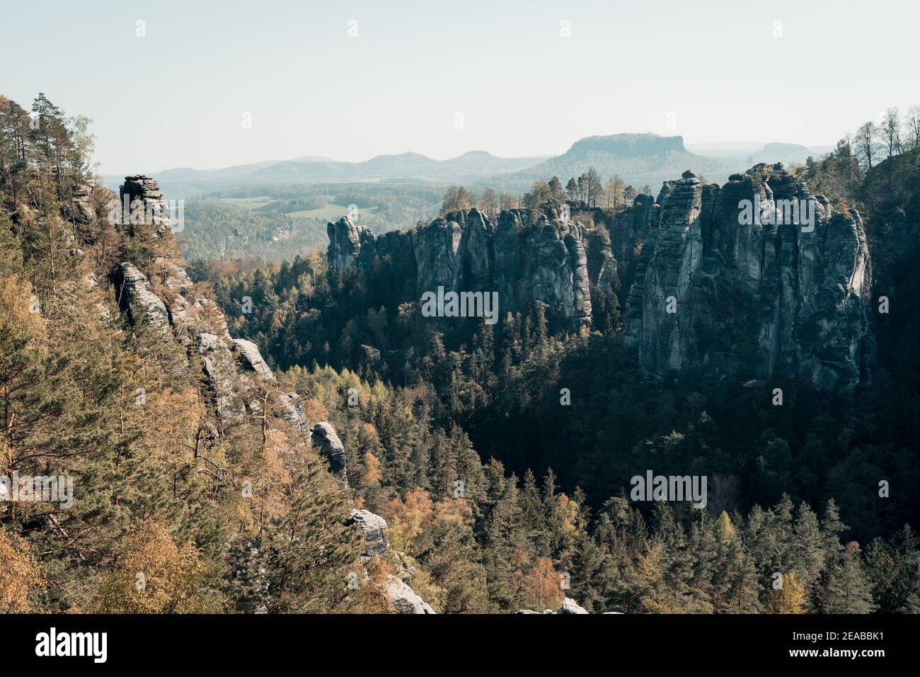 Deutschland, Sachsen, Sächsische Schweiz, Bäume, Sommer, Sonne, Wanderung, Felsen Stock Photo