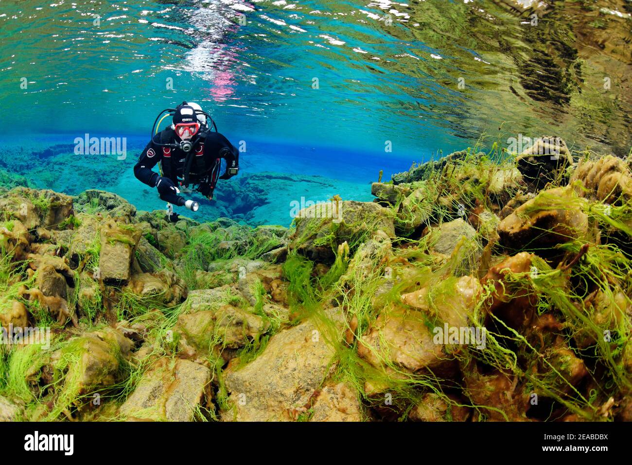 Silfra Fissure, diver in the continental fissure Silfra, diving between the continents, Thingvellir National Park, Iceland Silfra is a fissure, part of the diverging tectonic boundary between the North American and Eurasian plates Stock Photo