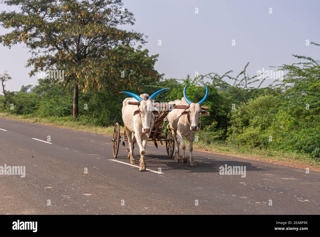 India 52 2 High Resolution Stock Photography And Images Alamy
